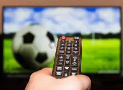 倪虹洁分享,感情历程,离异有子,星空娱乐,星空娱乐官网