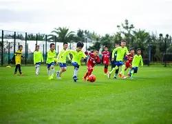 莱巴金娜稳,居前十,斯瓦泰克拒,星空娱乐,星空娱乐官网