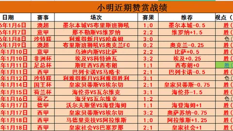 “多特瞄准吉拉西加盟：本土球员转会预算仅需2000万欧内！”